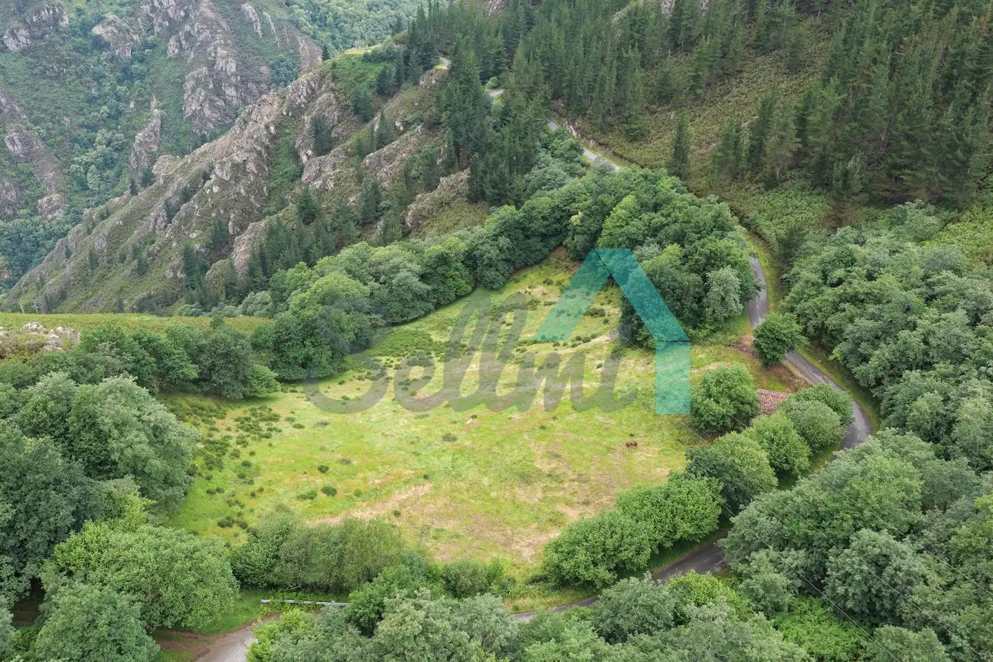 Land for sale in Proaza