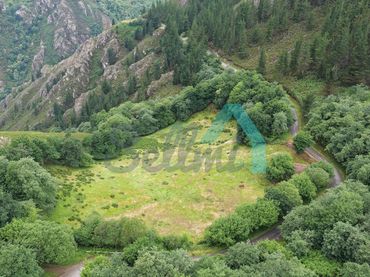 Rural land for sale in Bandujo