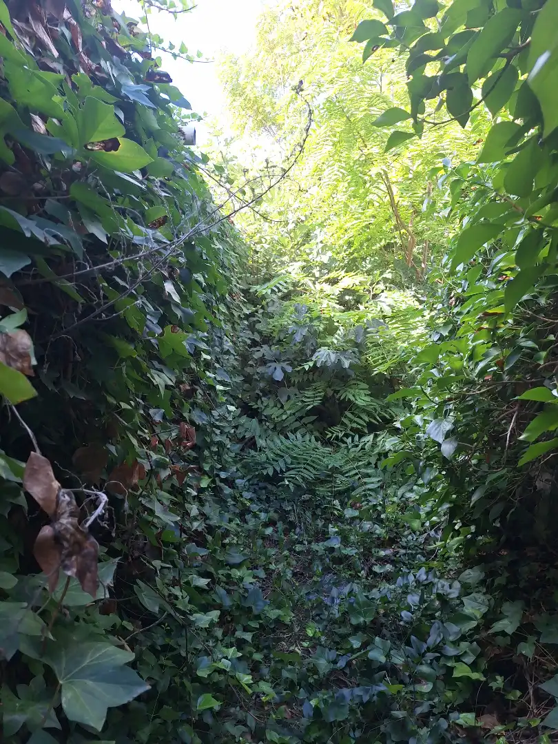 Casa amb jardí en venda a Vilafranca de Bonany, imagen 16