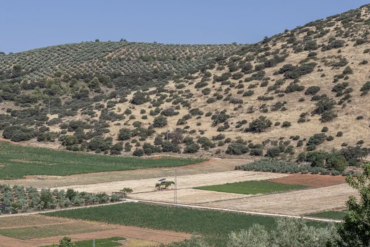 Land for sale in Montefrío