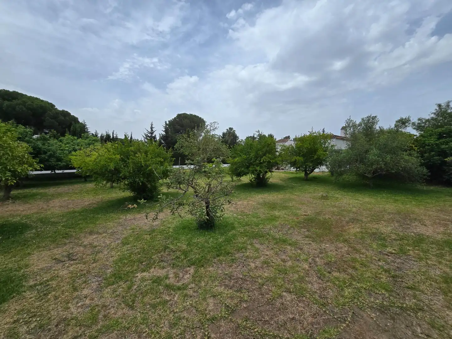 Casa o xalet en venda en Jerez de la Frontera amb Aire condicionat, Calefacció i Terrassa
