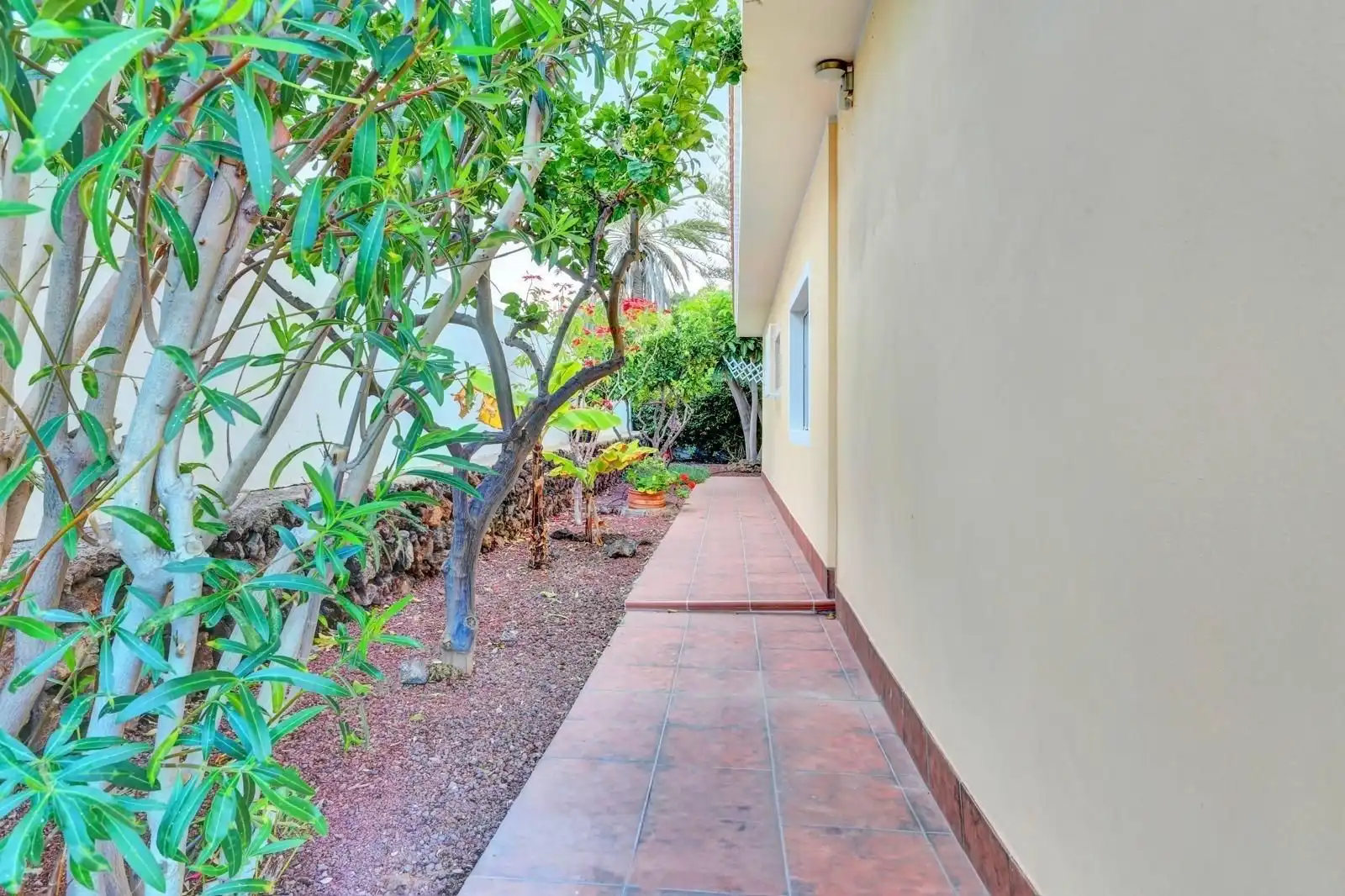 Terraza de Casa o chalet en venta en Arona