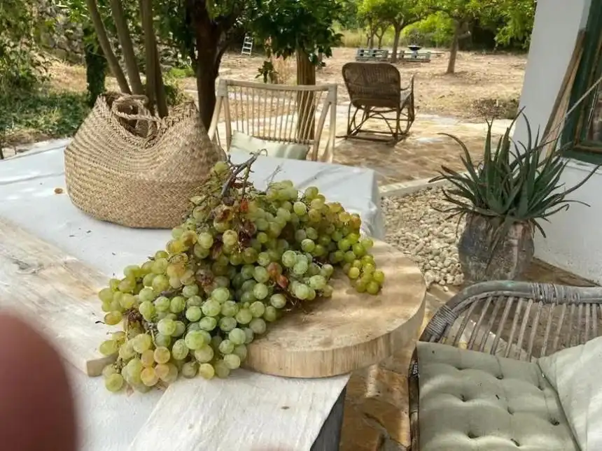 Terraza de Finca rústica en venta en Monda con Aire acondicionado, Jardín privado y Terraza