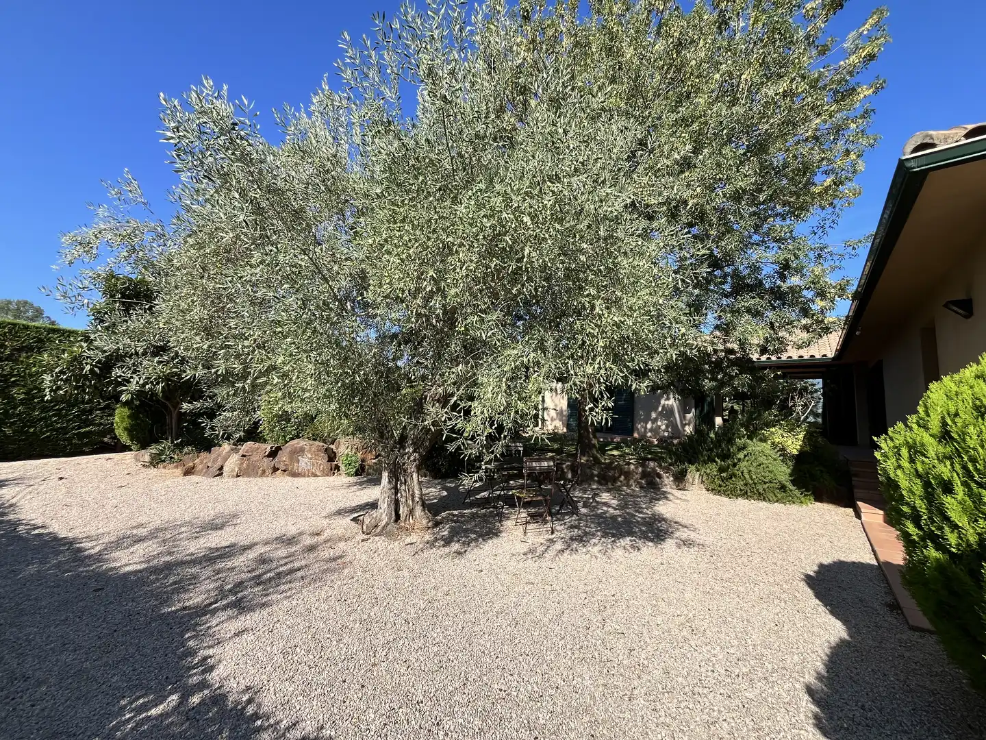 Villa con piscina in vendita a Mas Frigol 43, imagen 9