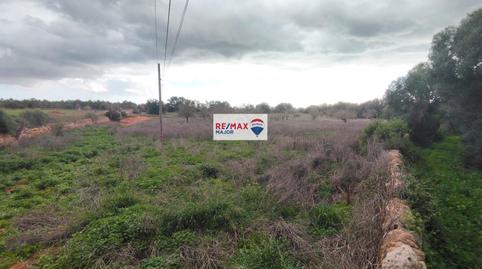 Foto 2 de Residencial en venda a S'Aranjassa, Illes Balears