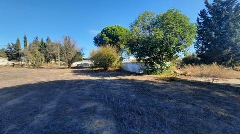 Photo 3 of Country house for sale in Pelagatos - Pago del Humo, Cádiz