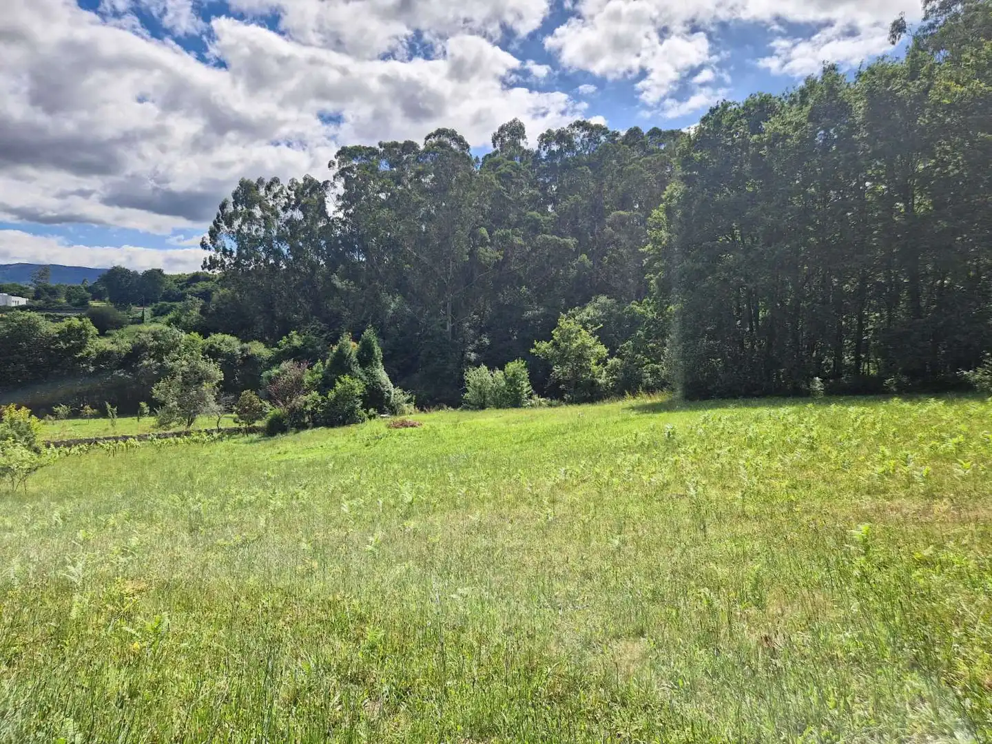 Lands and plots for sale in Brión, imagen 6