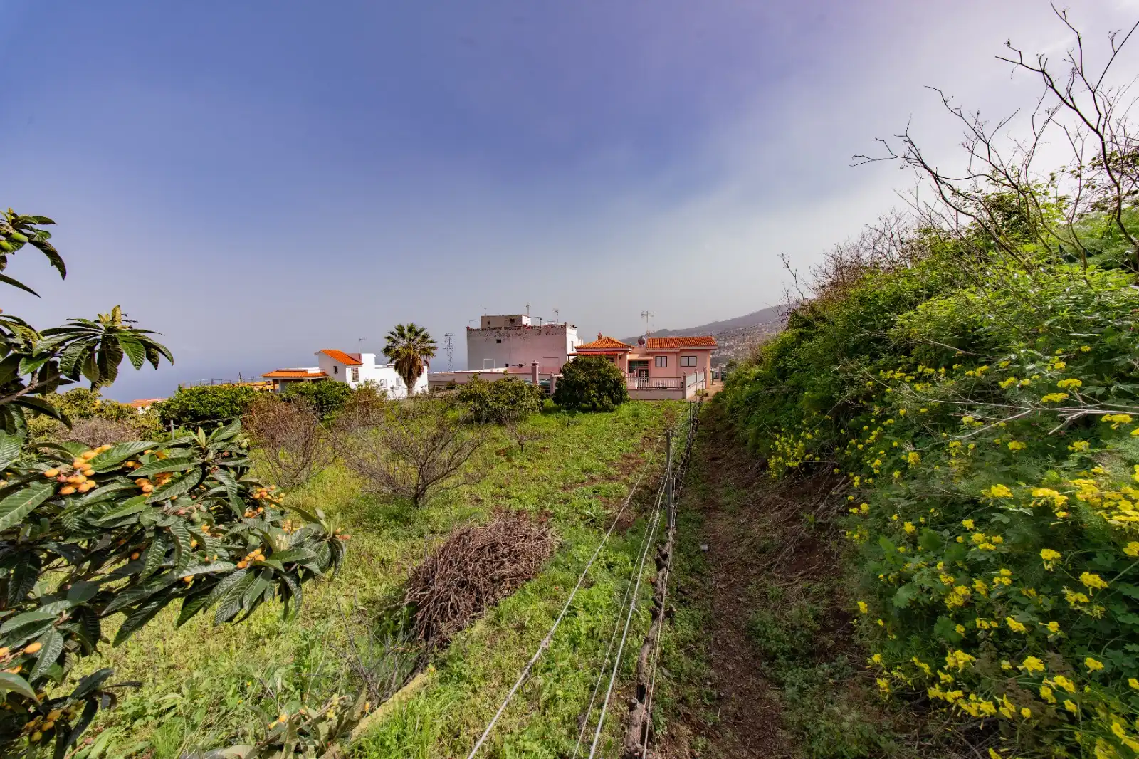 Casa o chalet en venta en Santa Úrsula con Terraza