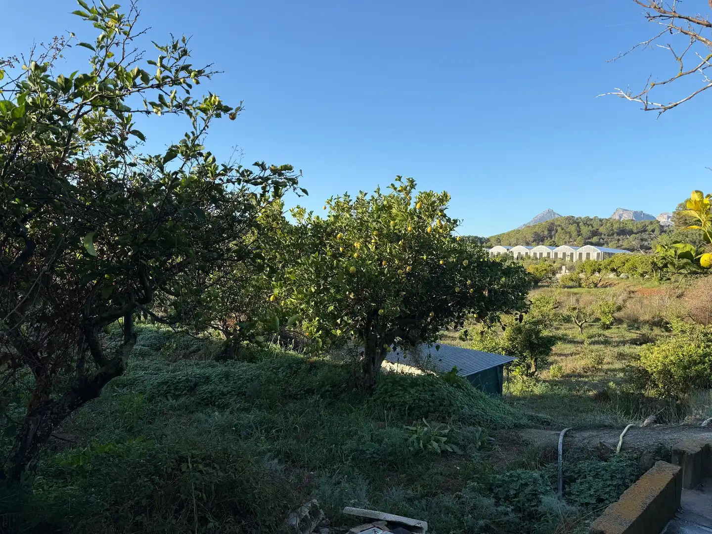 Rural land for sale in Altea la Vella, imagen 5