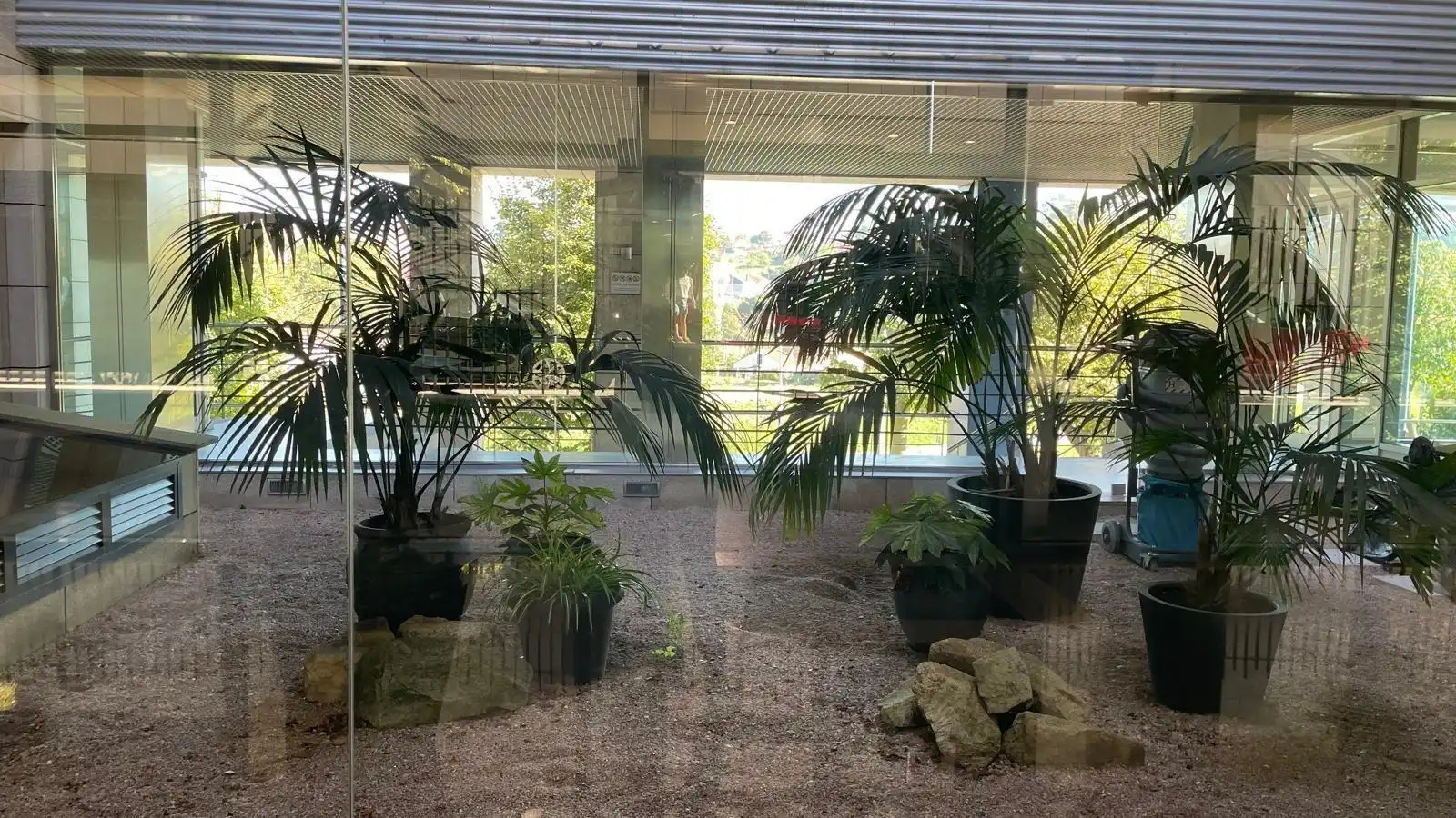 Piso con jardín en alquiler en Calle Calle Miradoiro, imagen 19