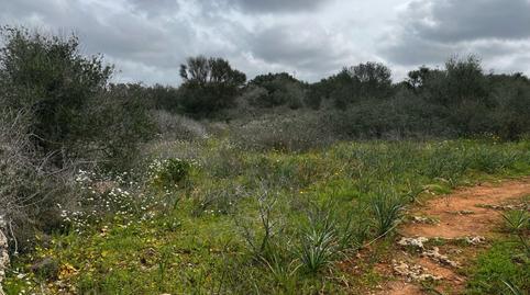 Foto 2 de Finca rústica en venta en Ds Polígono 16 Parcela 537 Son Trompa, Campos poble, Campos