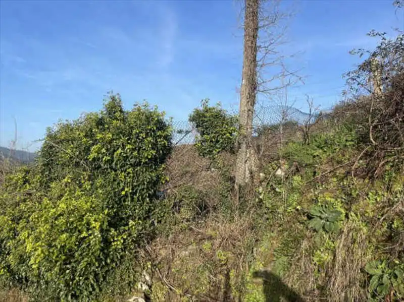 Residencial en venta en Castrelo de Miño