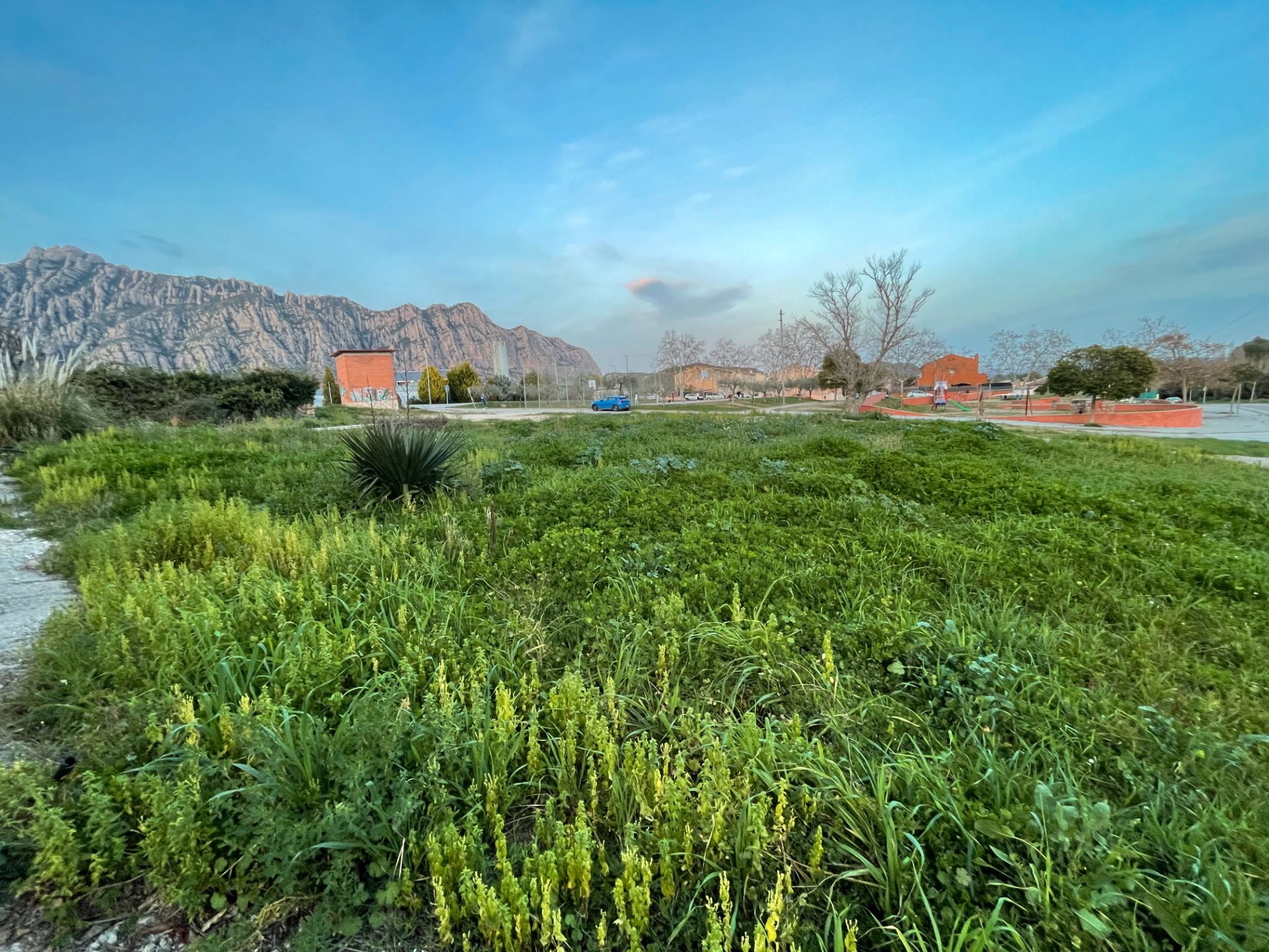 Single-family semi-detached for sale in Collbató