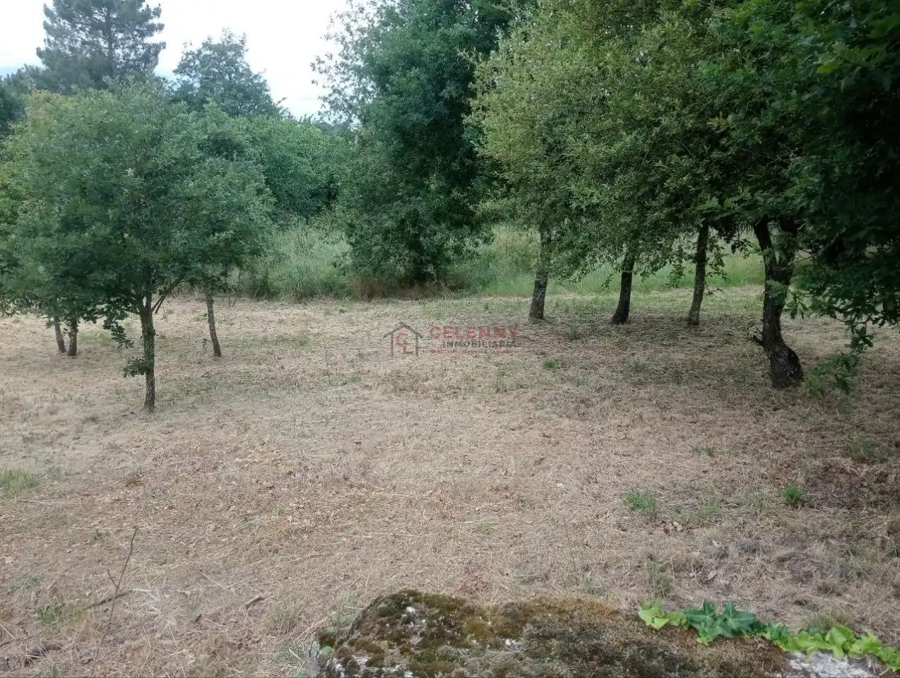 Terreni e lotti in vendita a San Cibrao das Viñas, imagen 14