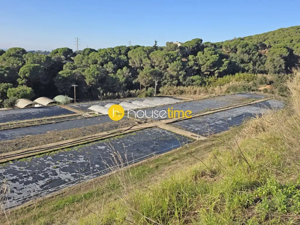 Rural land for sale in Sant Cebrià de Vallalta, imagen 3