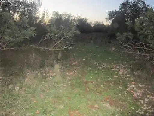 Terreno en venta en Benicarló