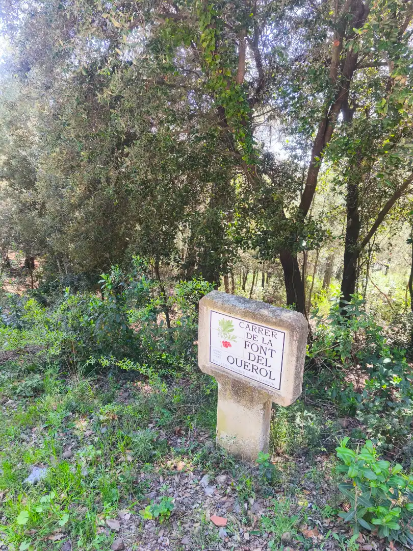 Terrain résidentiel à vendre à Carrer de la Font del Querol 19, imagen 15