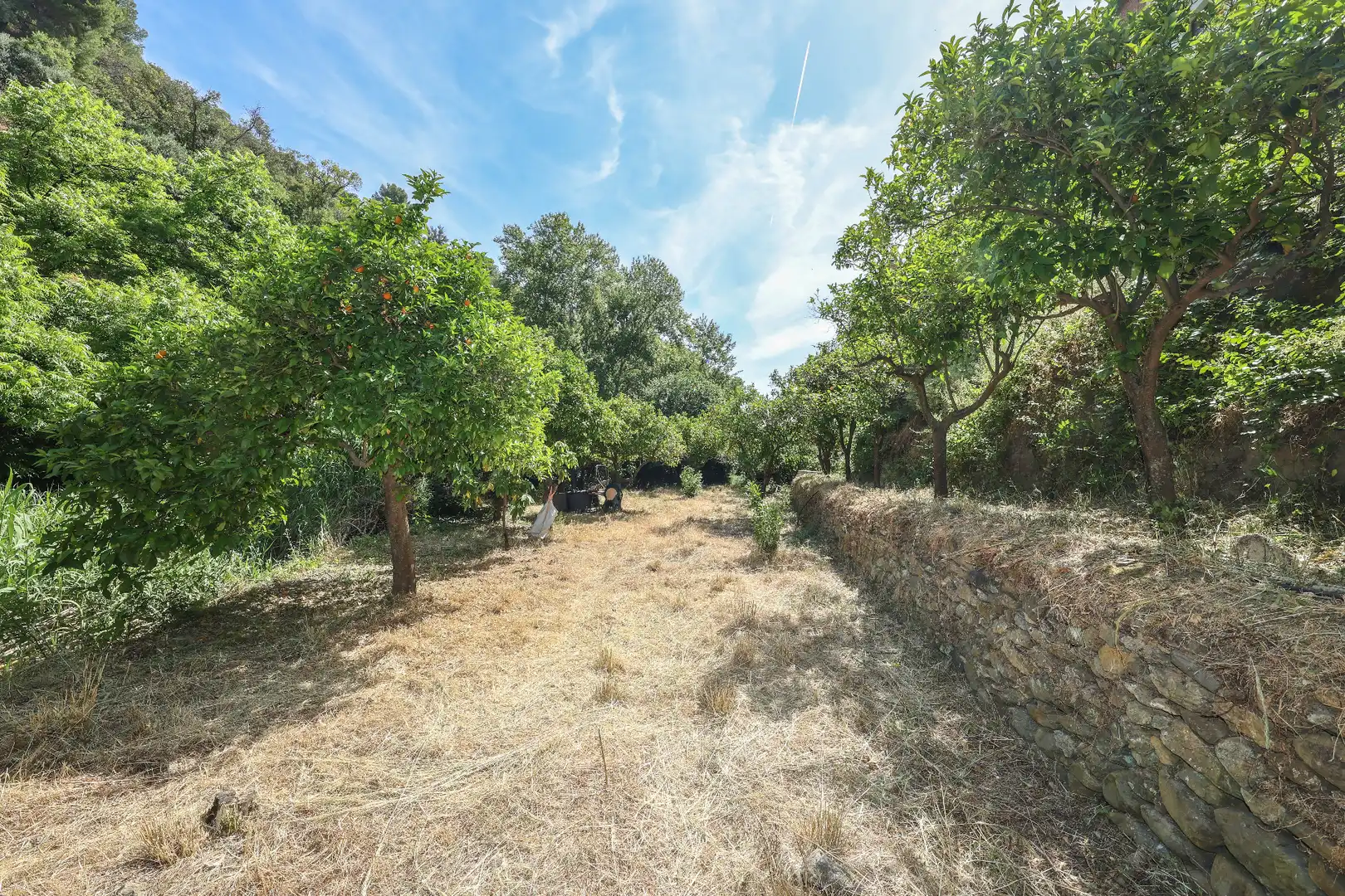 Rustikales Grundstück zum Verkauf in Calle Barranco de Amador, imagen 3