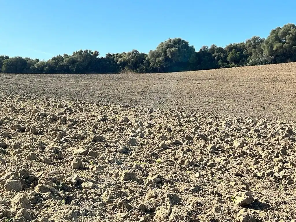 Casa rústica en venda a Vejer, imagen 10