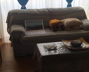 Living room of Flat to rent in Plasencia  with Air Conditioner, Terrace and Furnished