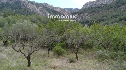 Chalet Independiente en venta en Benifallet y con 180 m2., imatge 4