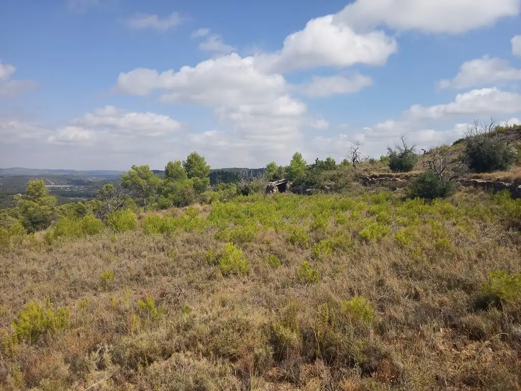 Terreni e lotti in vendita a Valderrobres, imagen 3