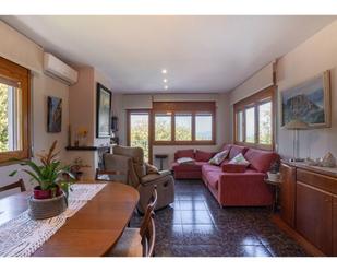 Sala d'estar de Casa o xalet en venda en L'Esquirol amb Calefacció, Jardí privat i Parquet