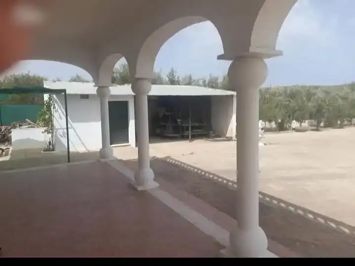 Vista exterior de Casa o chalet en venta en Monturque con Jardín privado, Trastero y Piscina