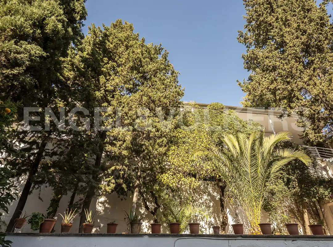 Jardí de Casa o xalet en venda en Barcelona amb Calefacció, Jardí privat i Terrassa