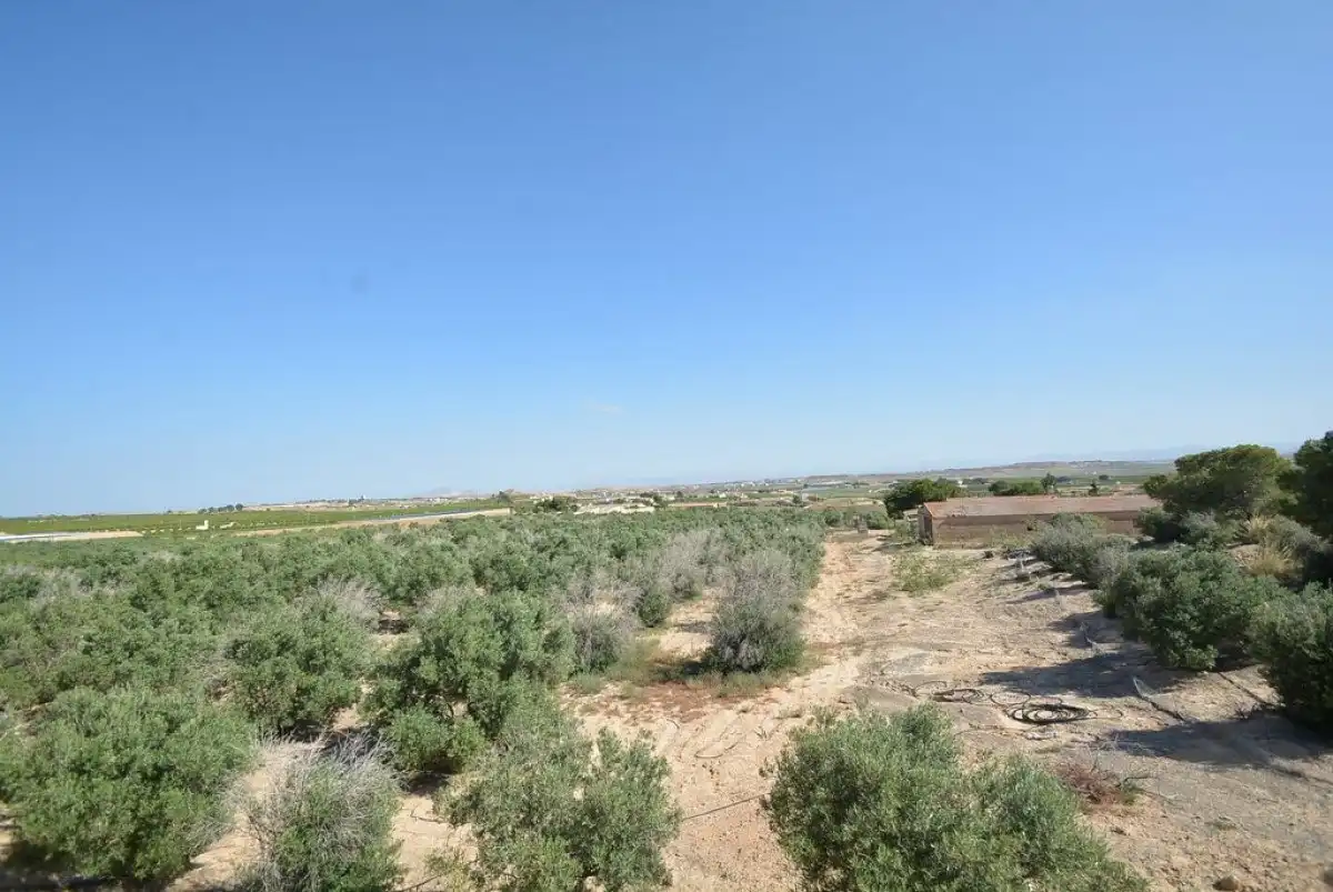 Terreni e lotti in vendita a Campo de Murcia, imagen 15