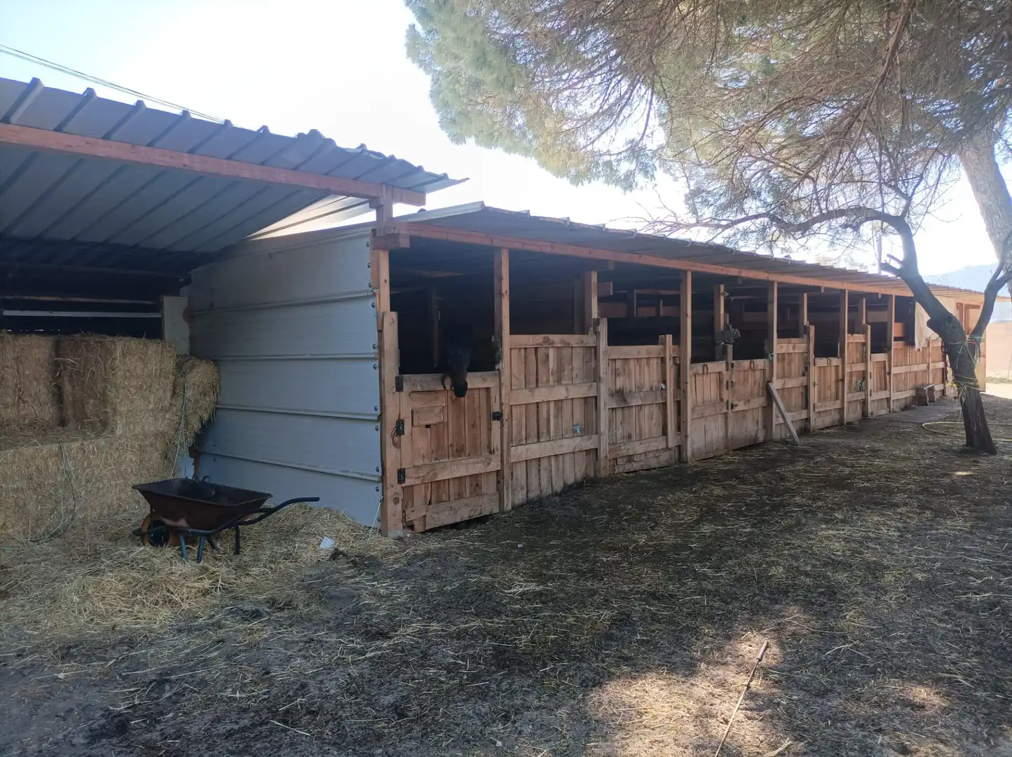 Exterior view of Houses for sale in Traspinedo  with Heating, Private garden and Terrace