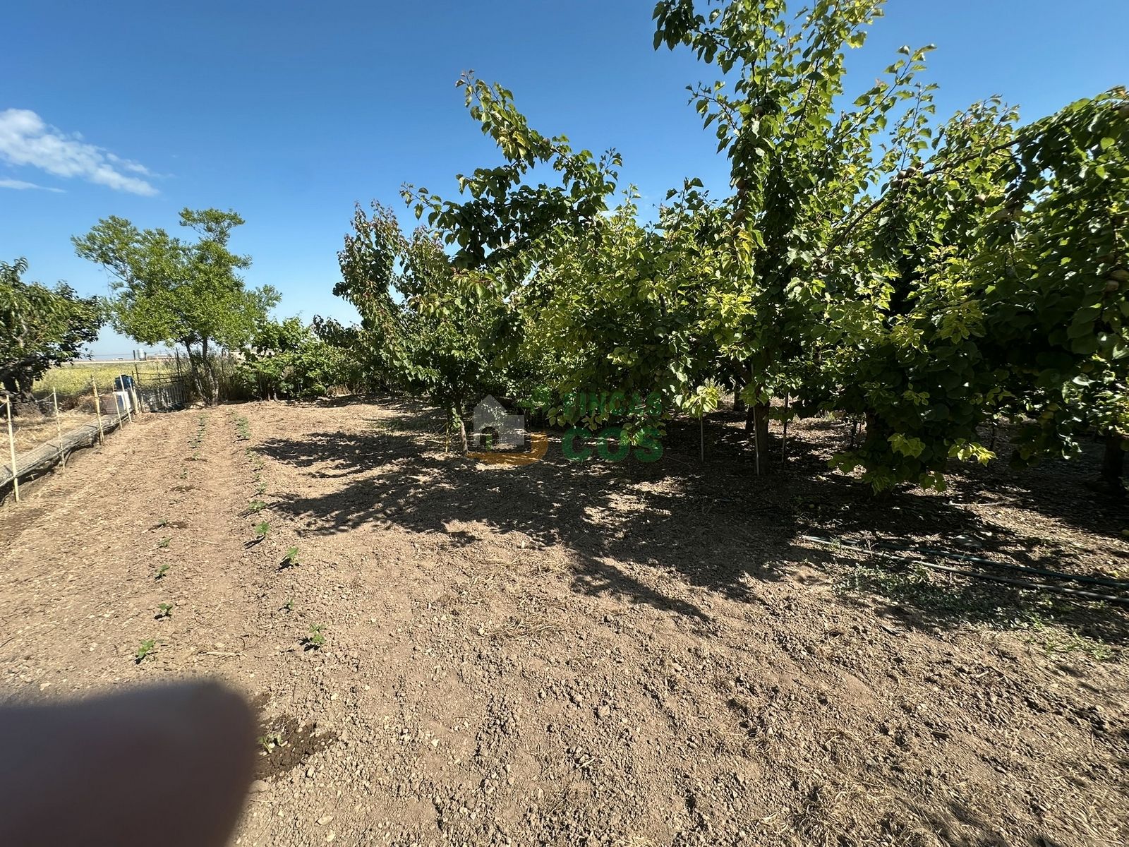 Casa o xalet en venda en Castellnou de Seana amb Jardí privat, Terrassa i Moblat