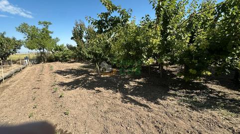 Foto 2 de Casa o xalet en venda a Castellnou de Seana, Lleida