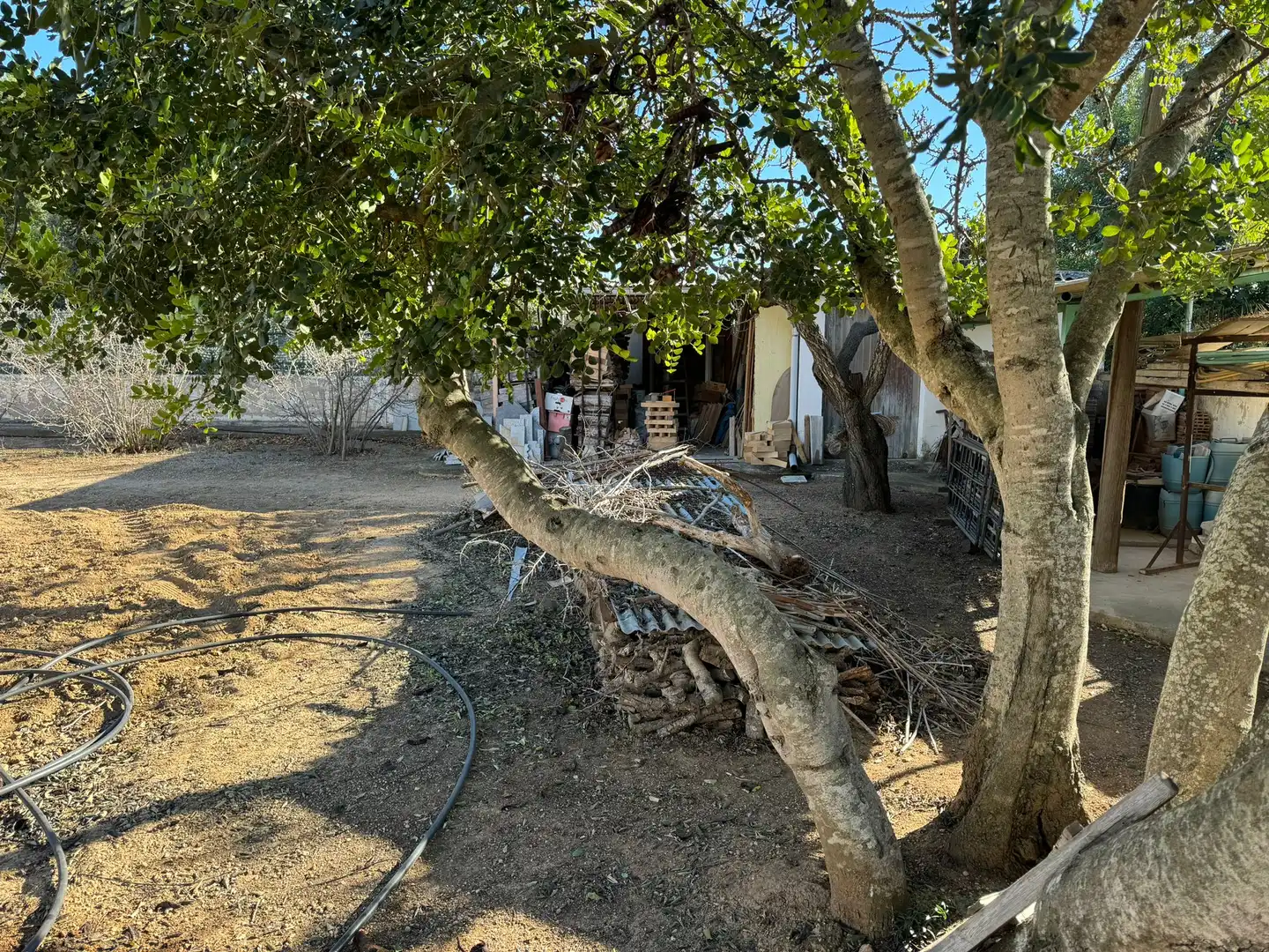 Villa con terrazza in vendita a Valls, imagen 6
