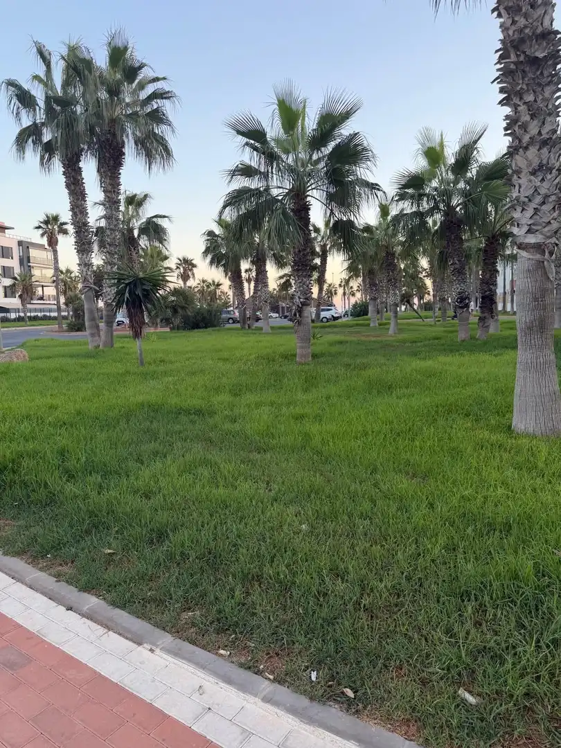 Wohnungen zur Miete in PLAYAS DE LA ENSENADA, Almerimar