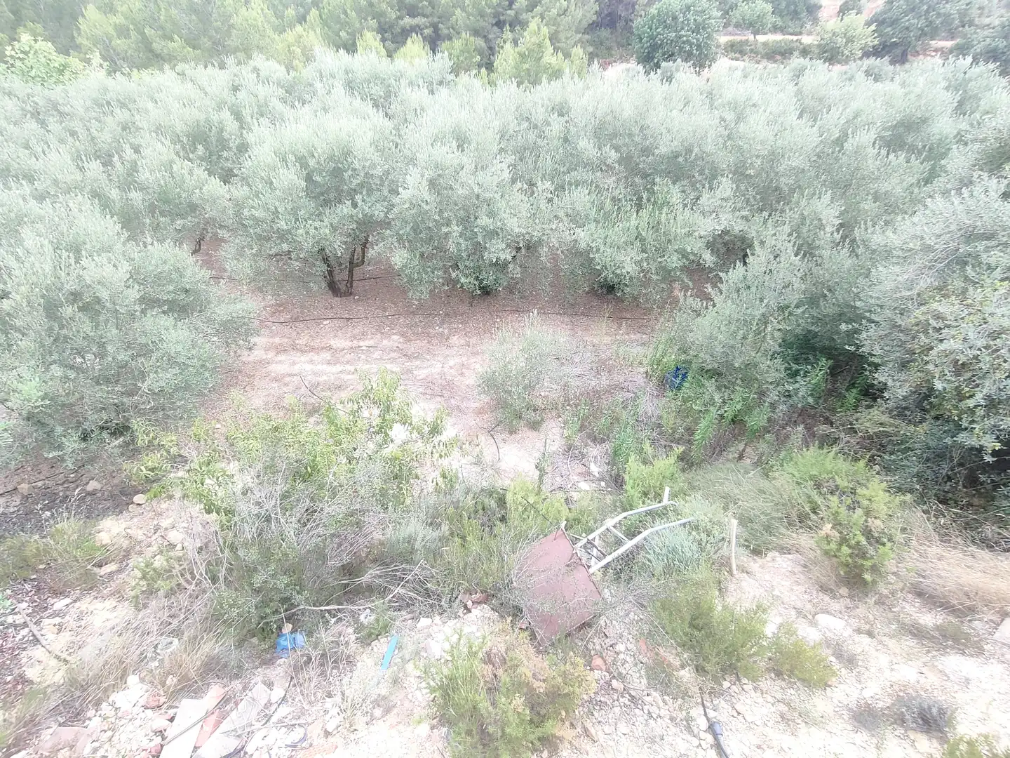 Casa o chalet en venta en Turís con Jardín privado, Terraza y Trastero