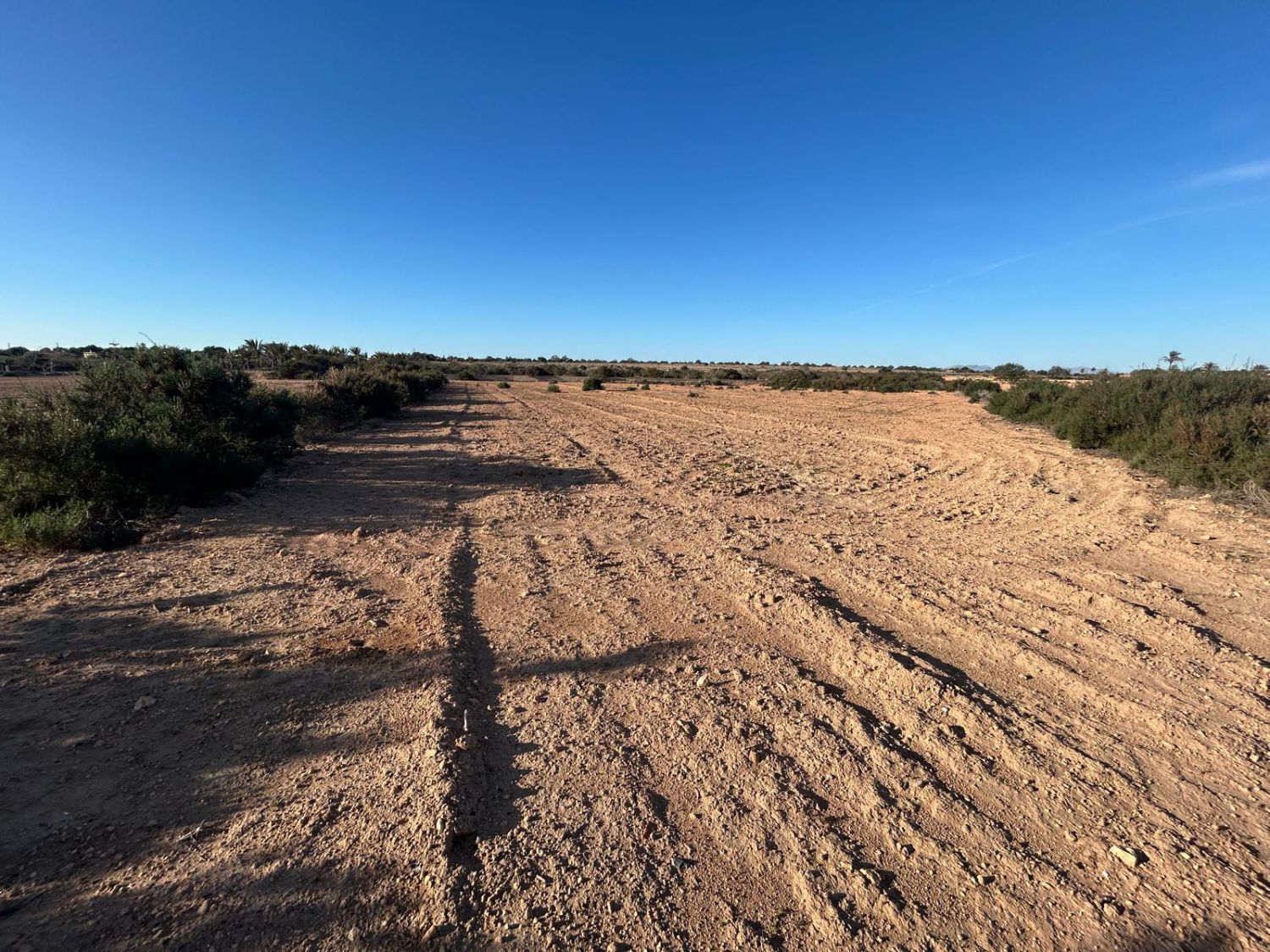 Country homes for sale in Elche / Elx