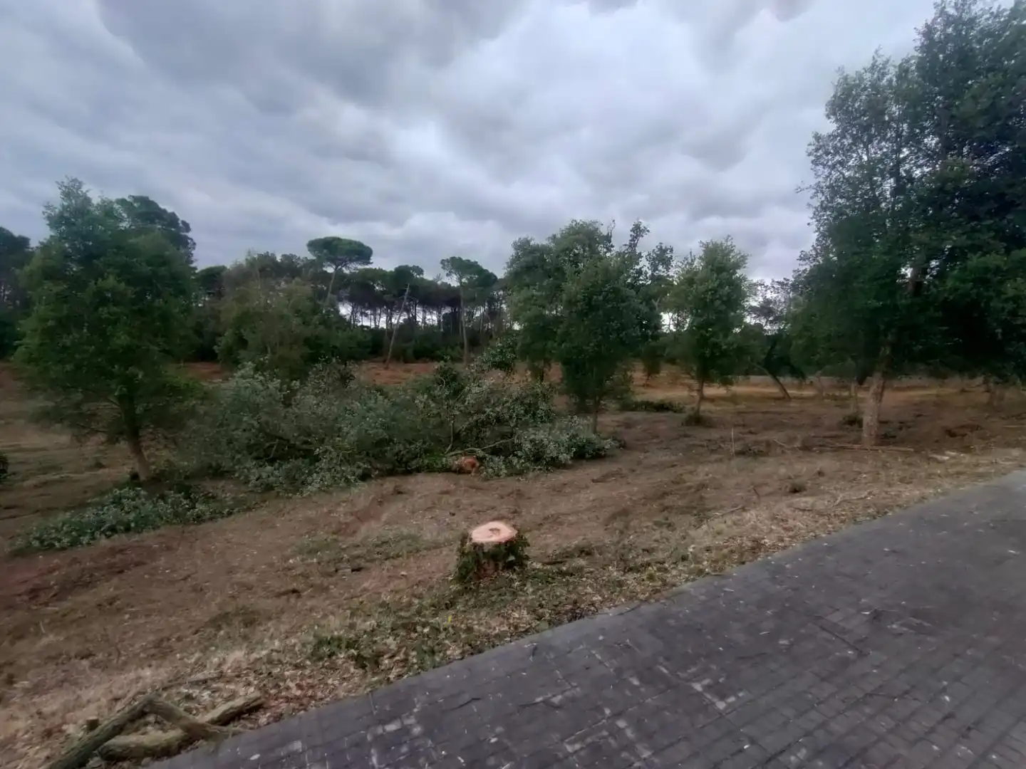 Residential land for sale in Avinguda Catalunya, imagen 4