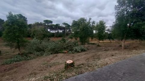 PARCELA DE 989M2 EN URB.KING PARK DE SILS, immagine 4