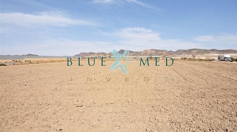 Photo 4 of Land for sale in  Pera Ros, Sn, Mazarrón Casco Urbano, Murcia