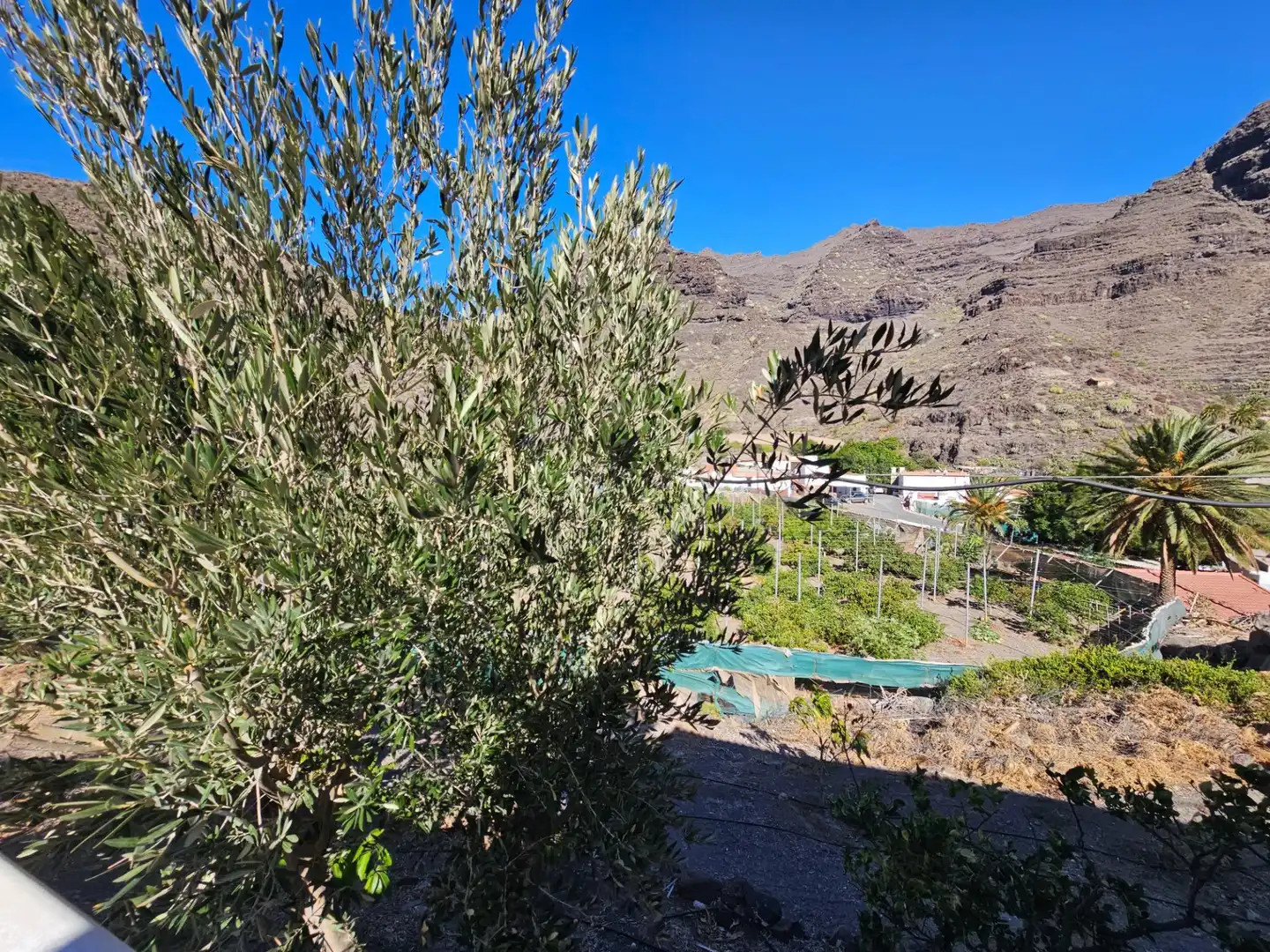 Vista exterior de Finca rústica en venta en La Aldea de San Nicolás  con Jardín privado, Terraza y Trastero