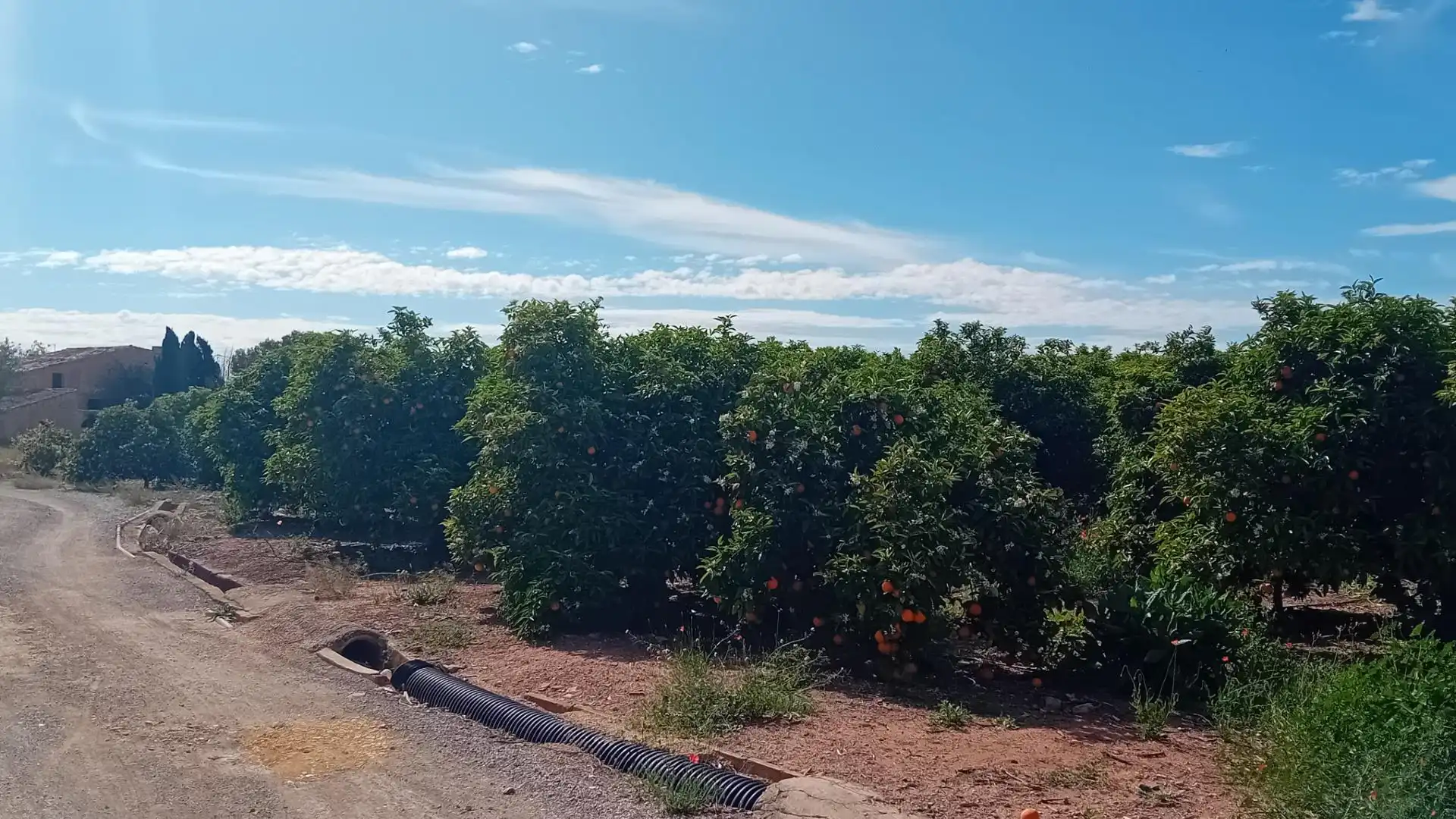 Rural land for sale in Villamontes - Boqueres, imagen 4