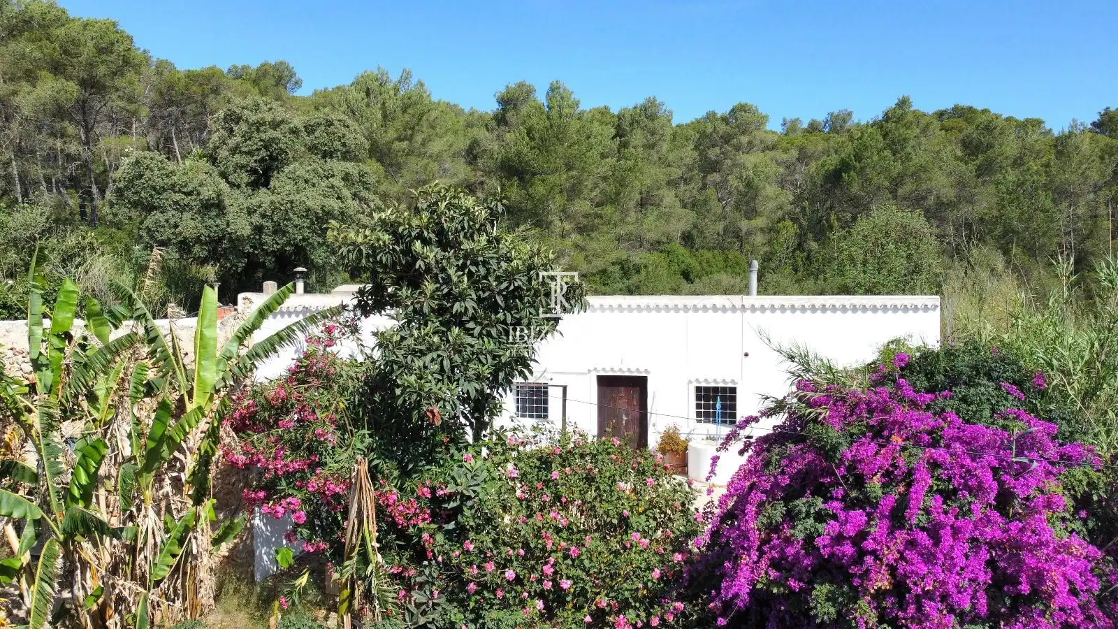 Jardí de Casa o xalet en venda en Sant Antoni de Portmany