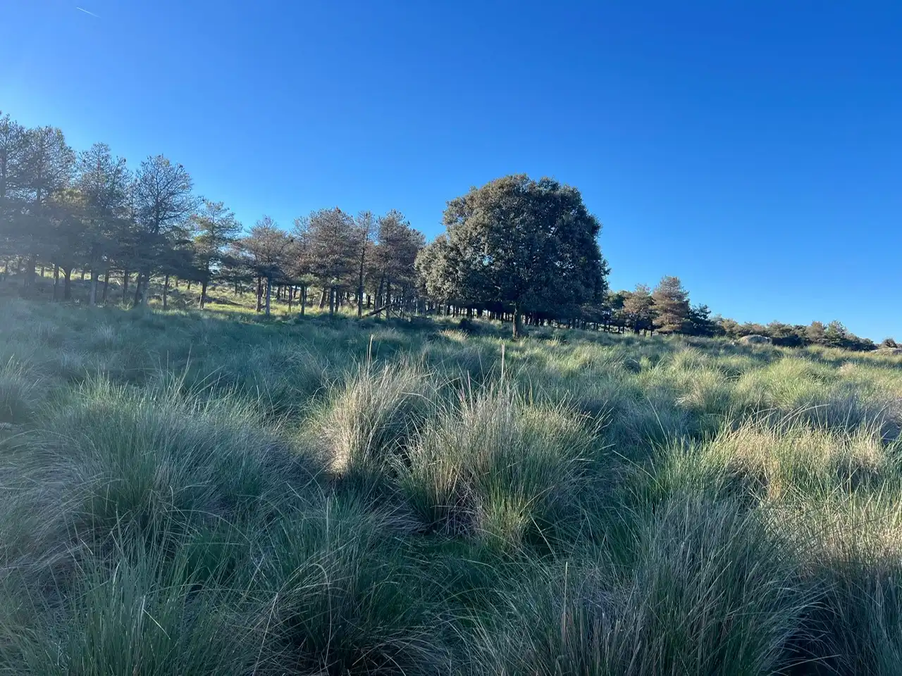 Terreni e lotti in vendita a Tornadizos de Ávila, imagen 37