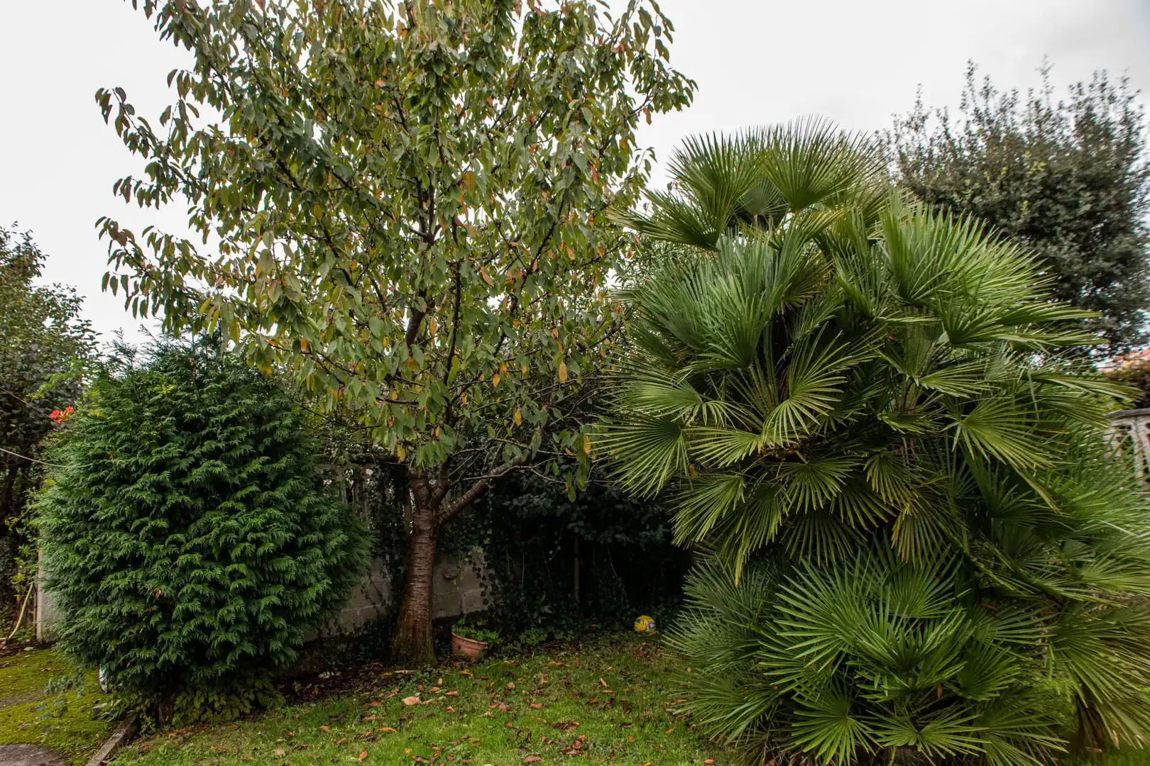 Terreni e lotti in vendita a Sada (A Coruña), imagen 42
