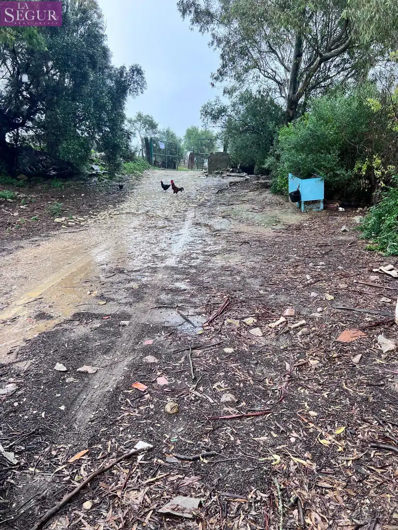 Vista exterior de Finca rústica en venda en Vejer de la Frontera amb Jardí privat