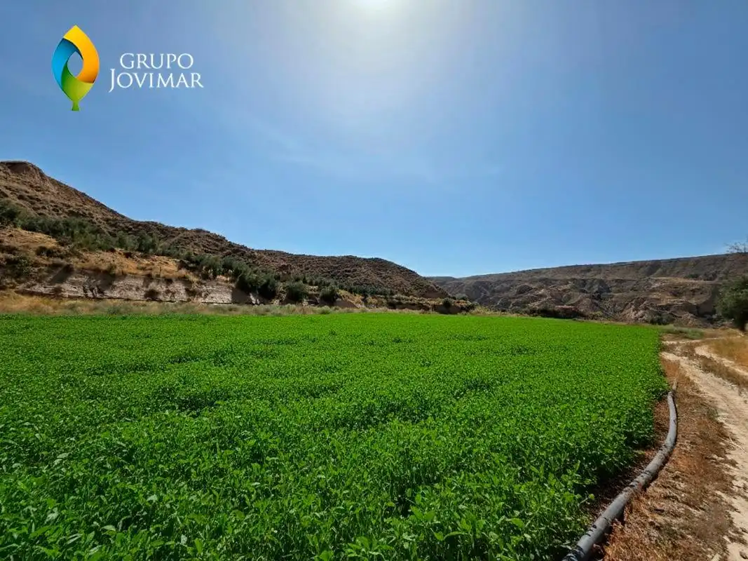 Terreno en venta en Gorafe