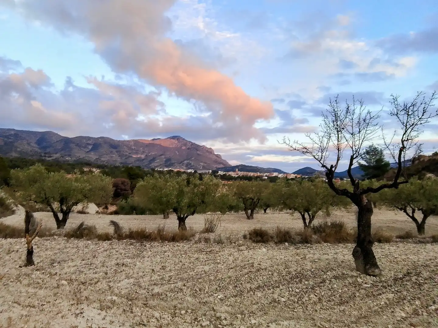 Terreno rustico in vendita a N/A, imagen 24