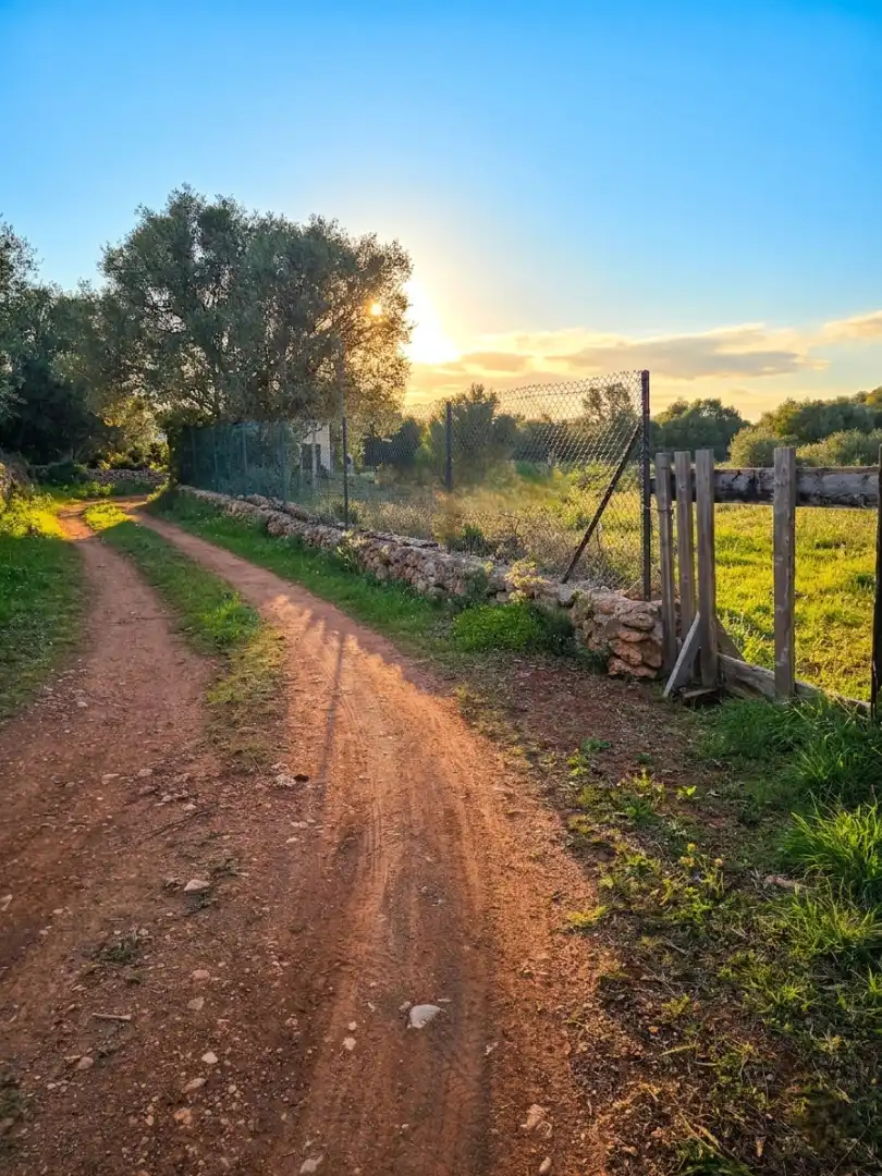 Rural land for sale in Felanitx Poble, imagen 3