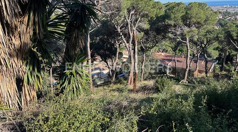 Extraordinario terreno con vistas al mar, immagine 2